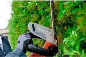 Trusted lawn care service in Salem, NJ by Carpenter Tree Experts