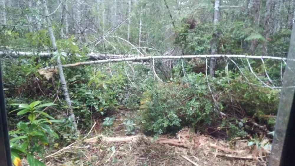 Trusted landscape installation experts serving Gig Harbor, WA - Carpenter's Land Services