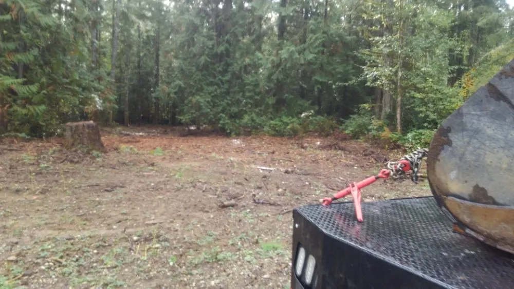 Trusted landscape design experts serving Gig Harbor, WA - Carpenter's Land Services