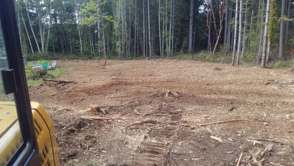 Reliable lawn care service experts serving Gig Harbor, WA - Carpenter's Land Services