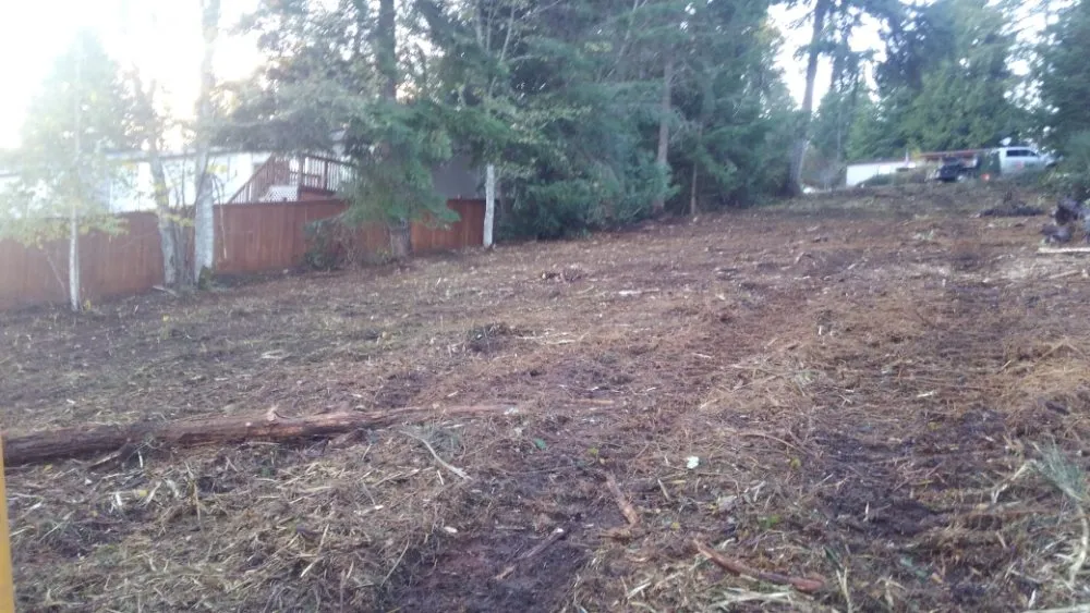 Top-rated yard maintenance in Gig Harbor, WA by Carpenter's Land Services