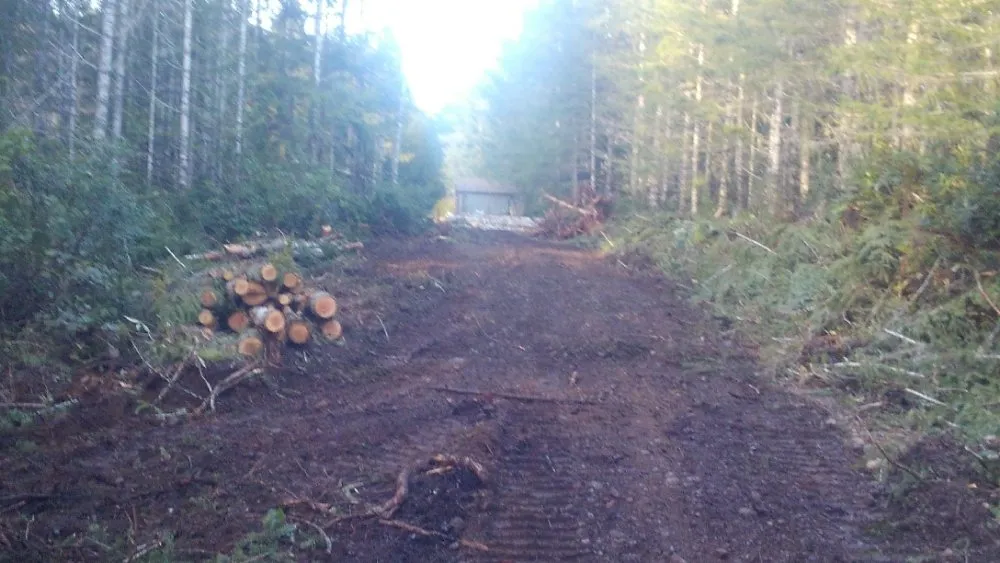 Reliable residential landscaping in Gig Harbor, WA by Carpenter's Land Services