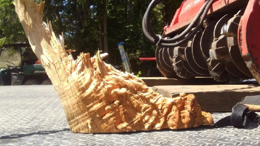 Trusted garden landscaping for outdoor upgrades in Gig Harbor, WA by Carpenter's Land Services