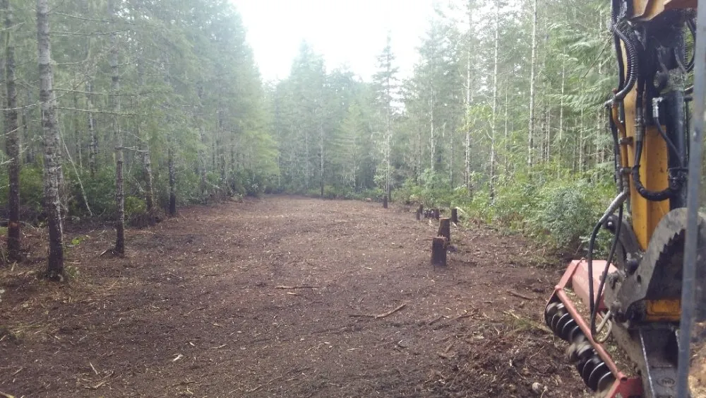 Top-rated garden landscaping in Gig Harbor, WA - Carpenter's Land Services