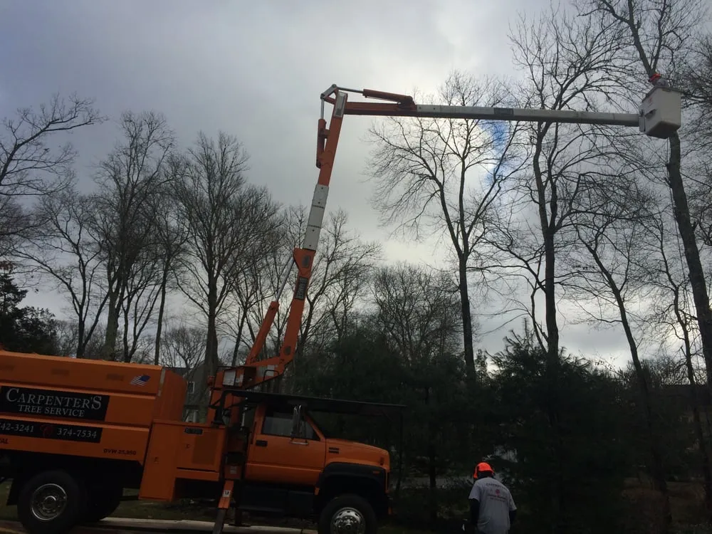 Trusted residential landscaping for beautiful yards in Charlestown, RI by Carpenters Landscape Construction