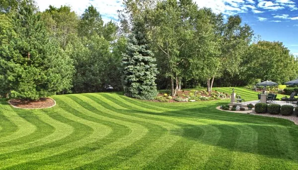 Carpenter's Lawns Plus Logo