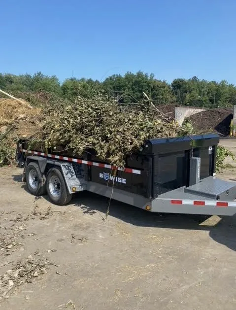 Top-rated lawn mowing service in Clay, NY - Carpenters Tree Services Plus