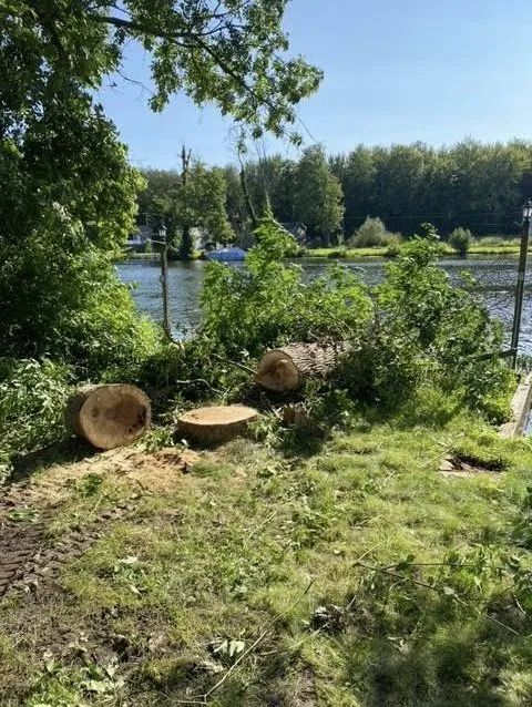 Professional yard maintenance in Clay, NY by Carpenters Tree Services Plus