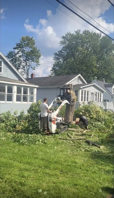 Custom garden landscaping in Clay, NY by Carpenters Tree Services Plus