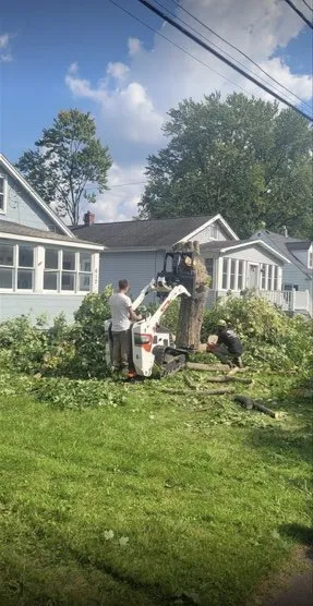 Reliable yard cleanup service for outdoor upgrades in Clay, NY by Carpenters Tree Services Plus