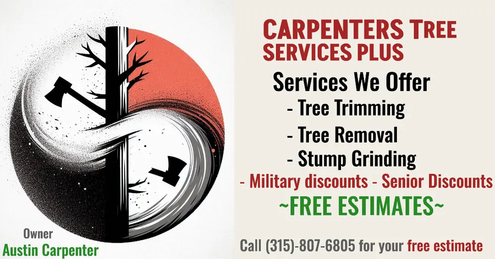 Trusted lawn care service for residential properties across Clay, NY - Carpenters Tree Services Plus