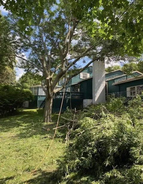 Local yard cleanup service experts serving Clay, NY - Carpenters Tree Services Plus