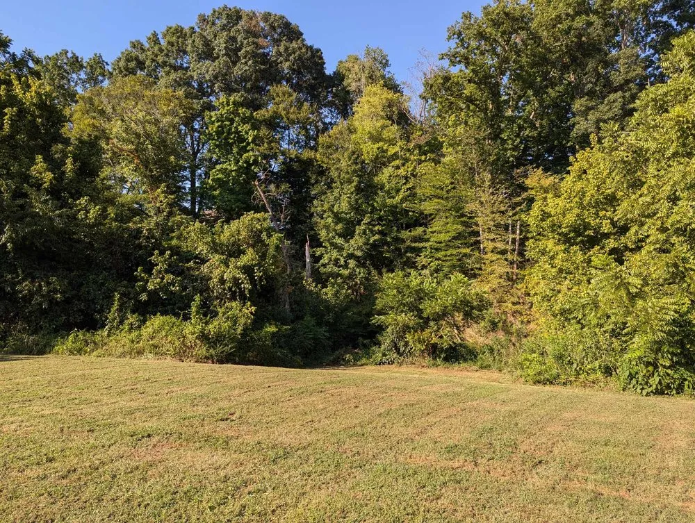 Reliable landscaping services for homes in Pigeon Forge, TN by Carper's Yard Cutters