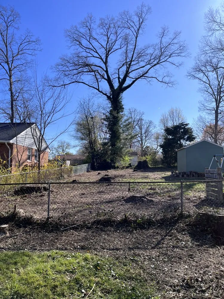 Expert lawn care service for homes across Richmond, VA - Carr & Cast Properties