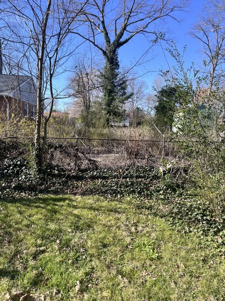 Expert yard cleanup service for outdoor upgrades in Richmond, VA by Carr & Cast Properties