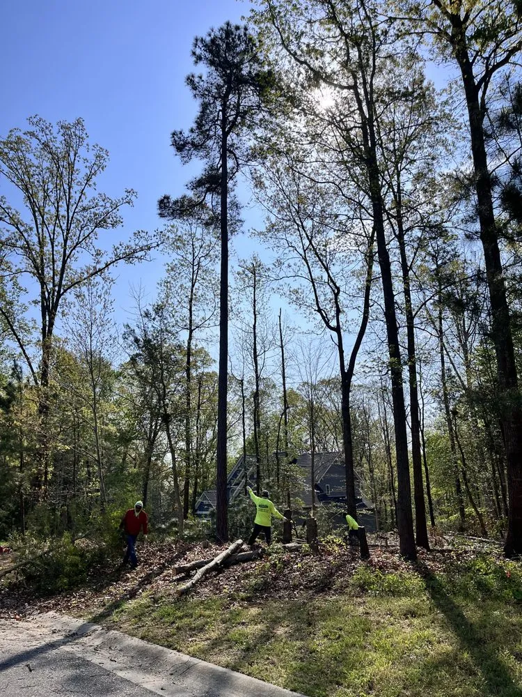 Custom yard cleanup service experts serving Richmond, VA - Carr & Cast Properties