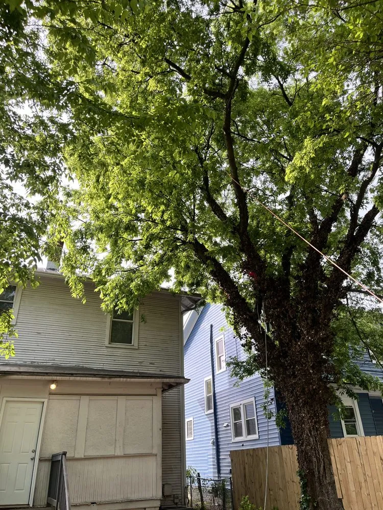 Expert landscaping services near you across Richmond, VA - Carr & Cast Properties