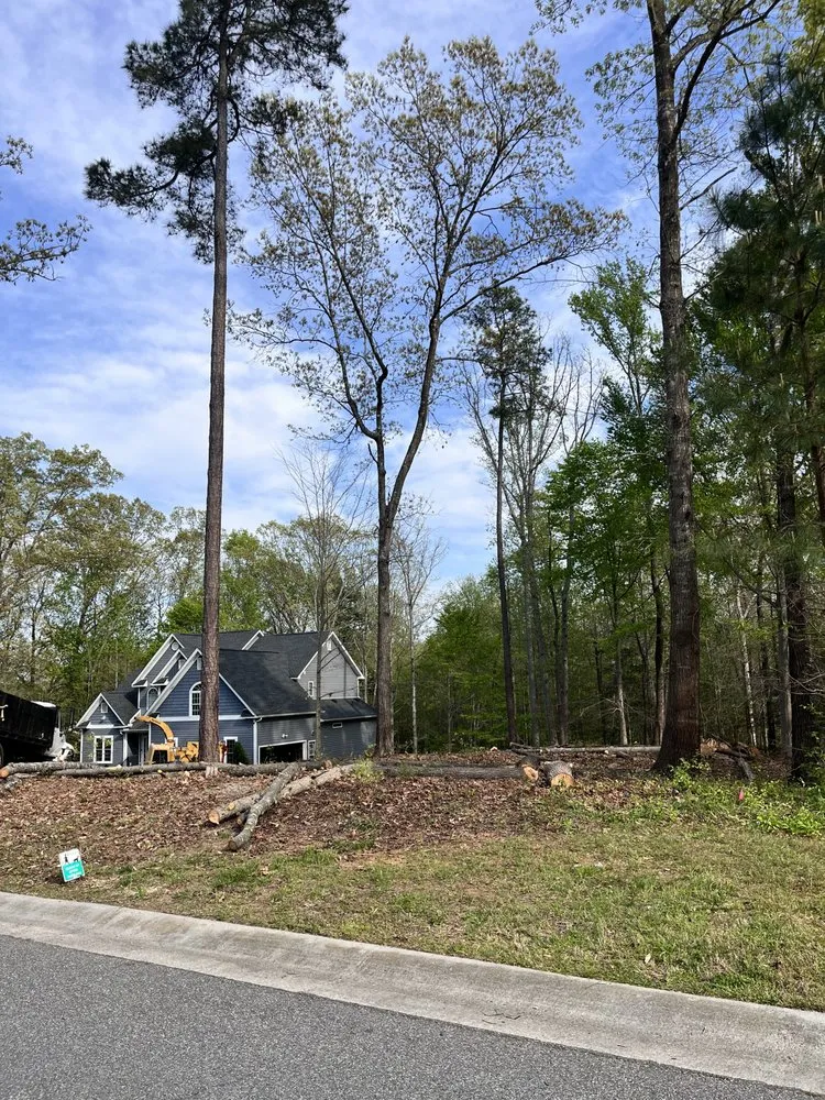 Custom landscape installation in Richmond, VA by Carr & Cast Properties