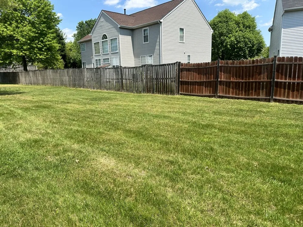 Affordable outdoor landscaping for year-round maintenance in Landover Hills, MD by Carranza Landscape