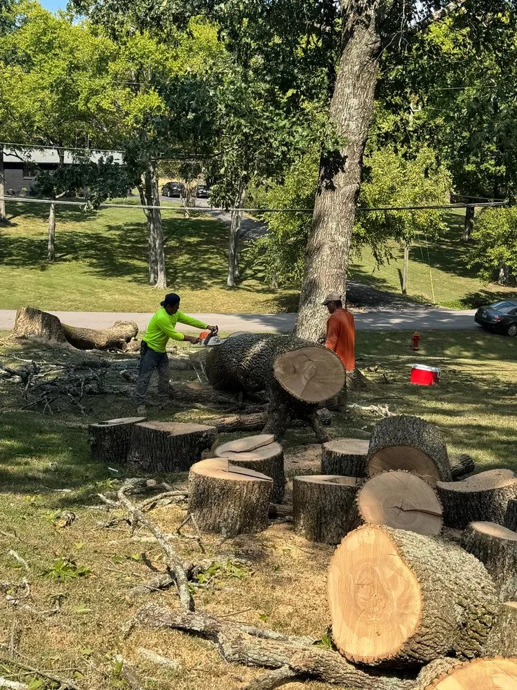 Top-rated outdoor landscaping in Nashville, TN by Carranza Landscaping And Tree Services