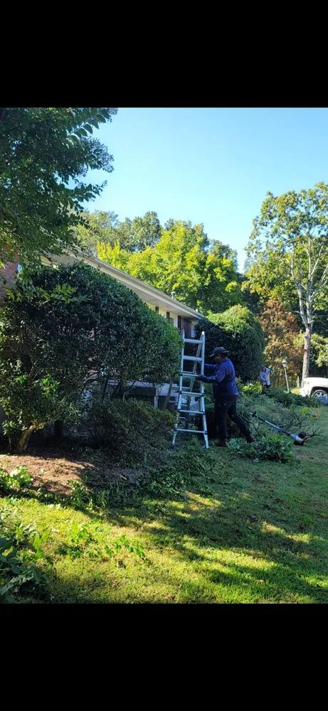 Local outdoor landscaping near you across Nashville, TN - Carranza Landscaping And Tree Services