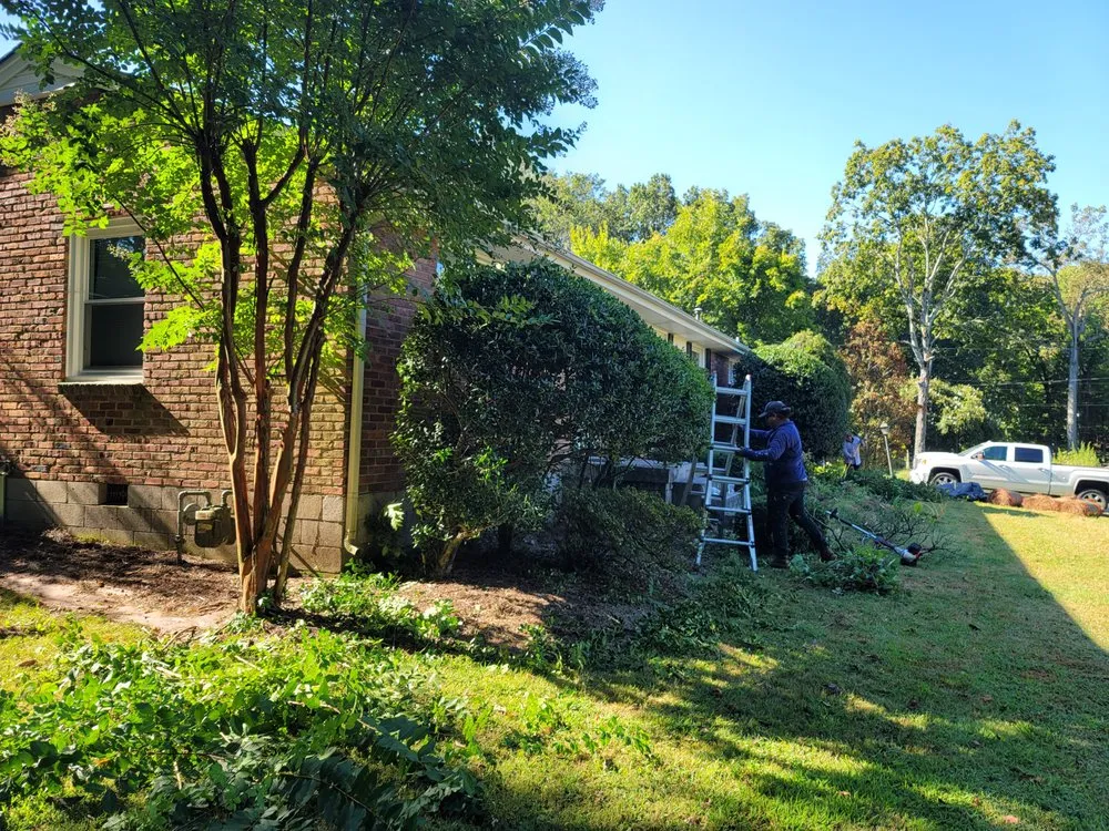 Local lawn mowing service in Nashville, TN by Carranza Landscaping And Tree Services