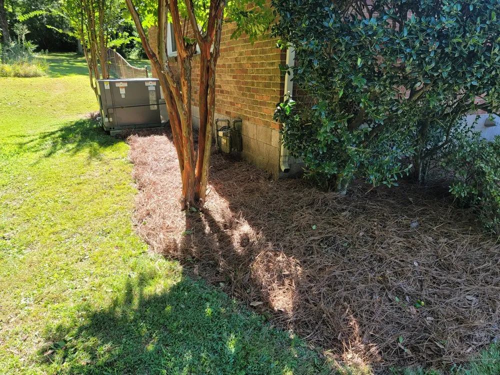 Affordable lawn care service for beautiful yards across Nashville, TN - Carranza Landscaping And Tree Services