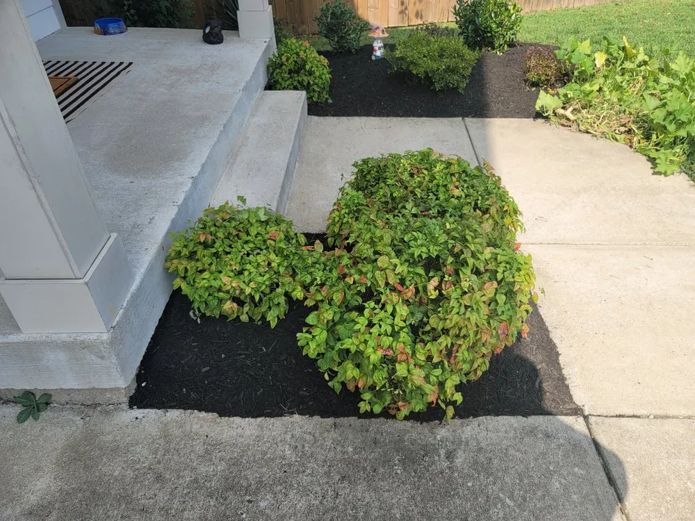Reliable landscaping services experts serving Nashville, TN - Carranza Landscaping And Tree Services