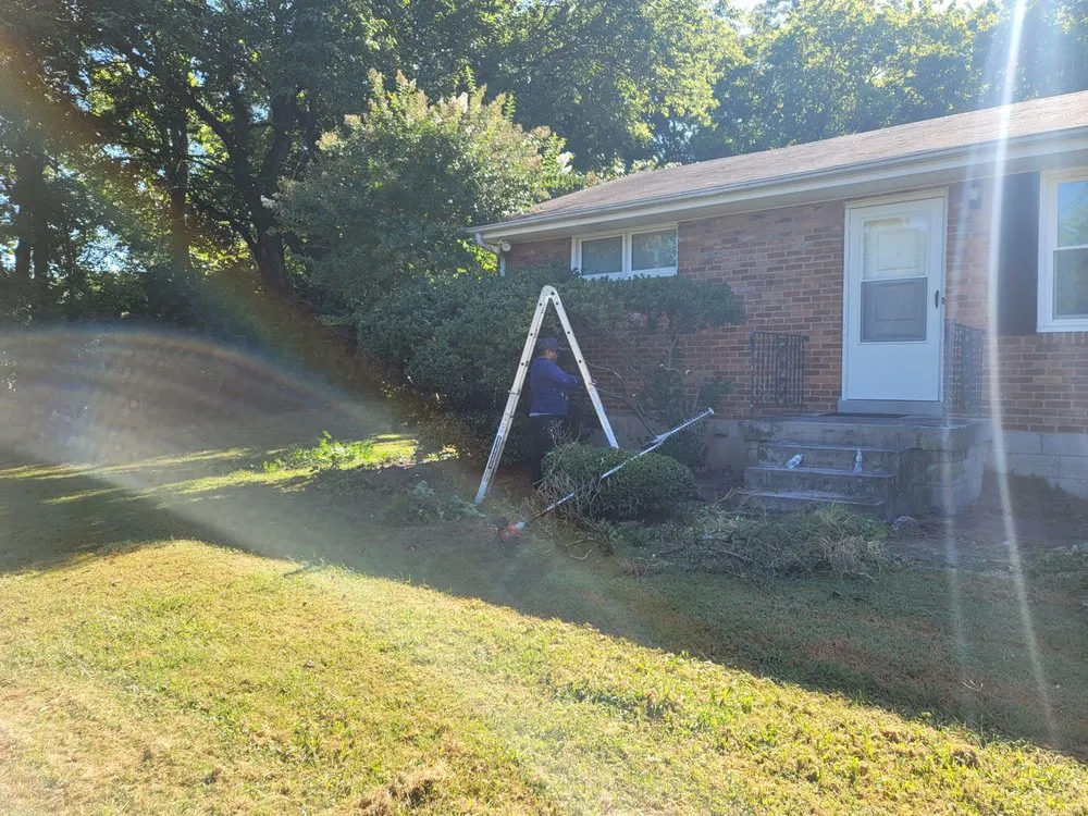 Affordable residential landscaping for outdoor upgrades across Nashville, TN - Carranza Landscaping And Tree Services