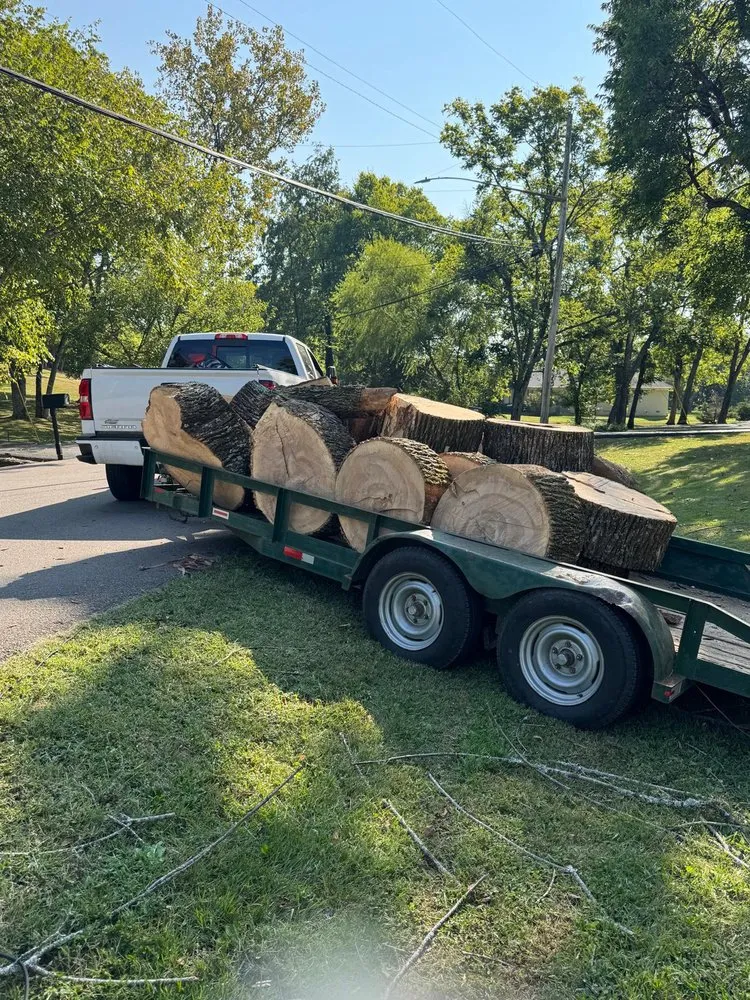 Trusted lawn mowing service for beautiful yards in Nashville, TN by Carranza Landscaping And Tree Services