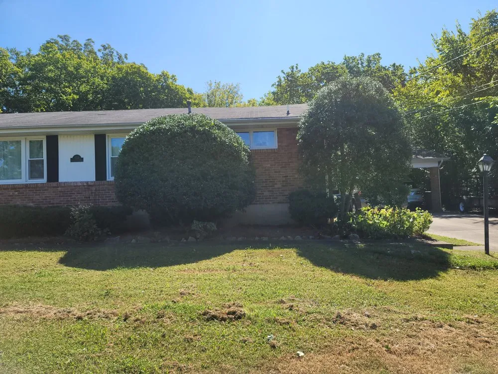 Reliable landscaping services for beautiful yards in Nashville, TN by Carranza Landscaping And Tree Services