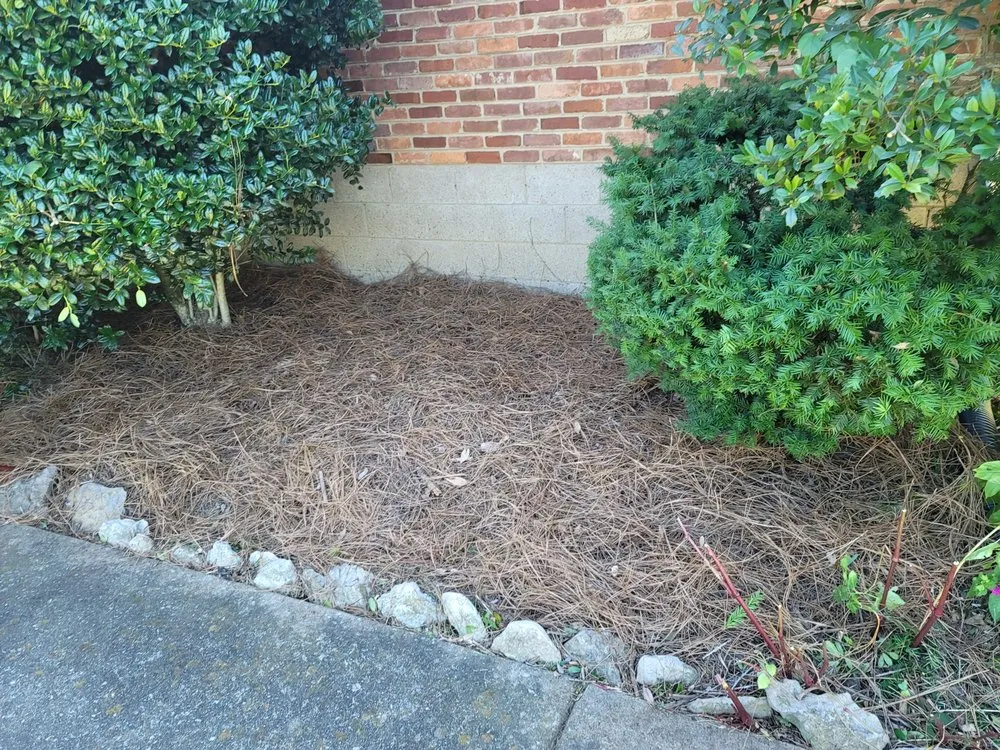 Trusted outdoor landscaping in Nashville, TN by Carranza Landscaping And Tree Services
