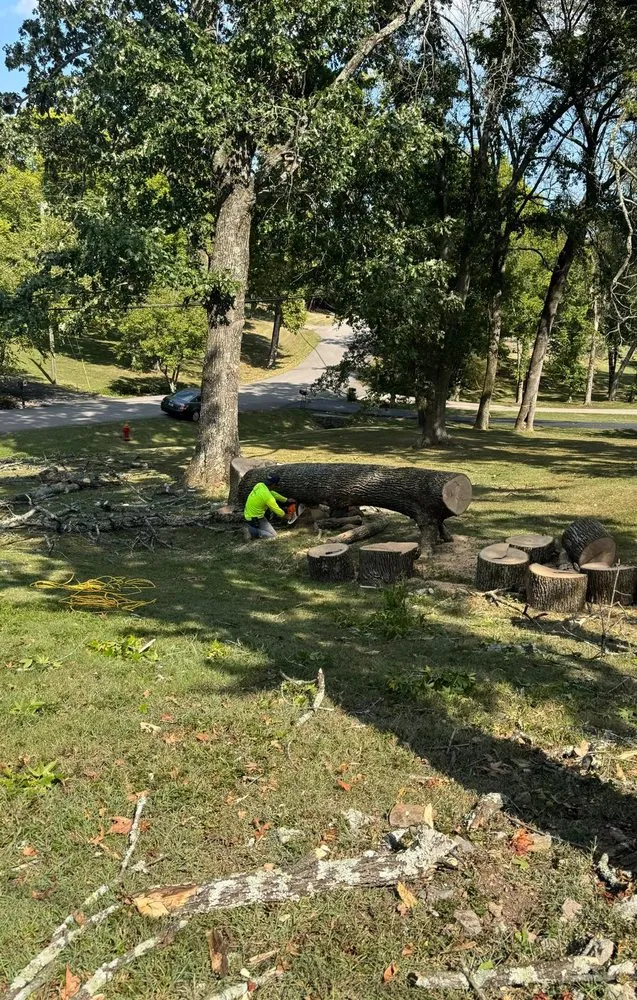 Expert garden landscaping for residential properties across Nashville, TN - Carranza Landscaping And Tree Services