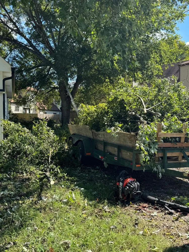 Top-rated landscape design in Nashville, TN - Carranza Landscaping And Tree Services