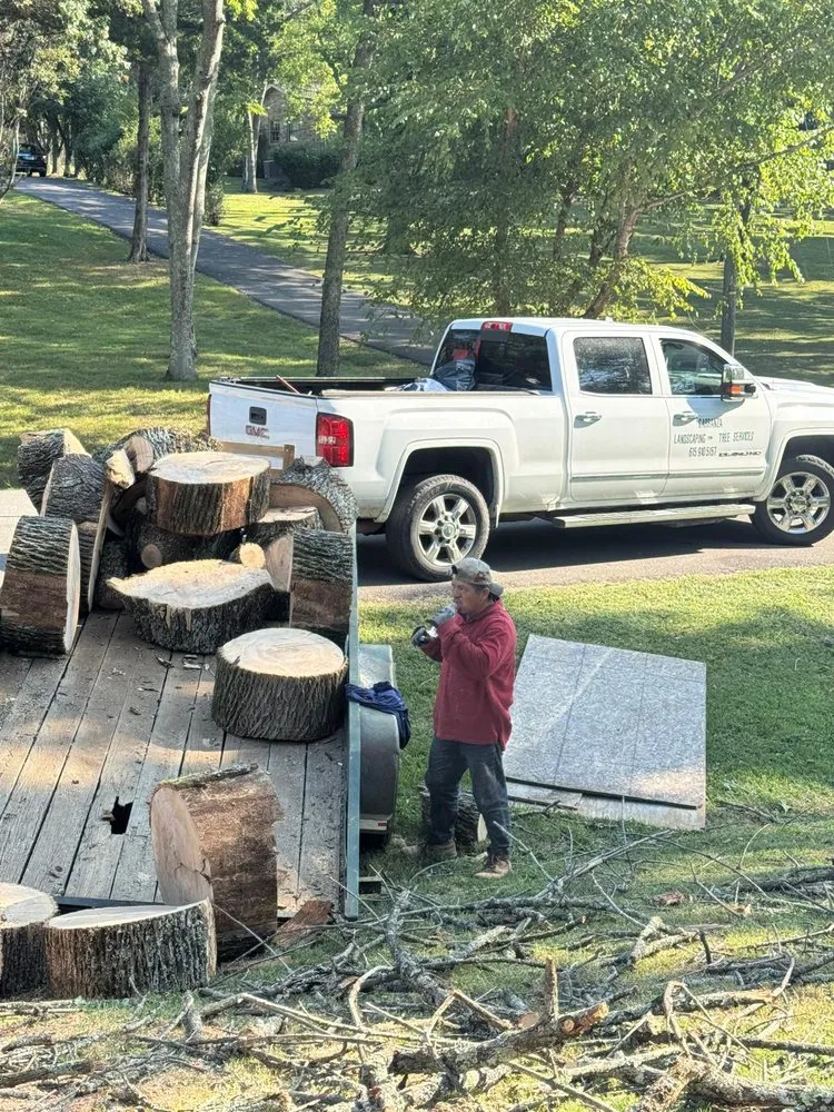 Affordable landscape design with custom design across Nashville, TN - Carranza Landscaping And Tree Services