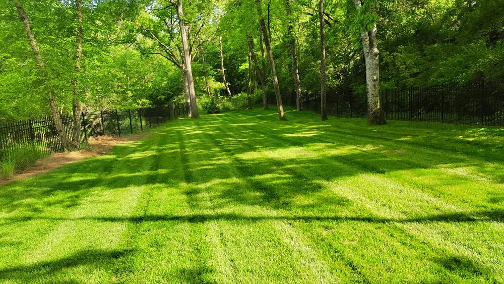 Top-rated garden landscaping in Nashville, TN - Carranza Landscaping And Tree Services