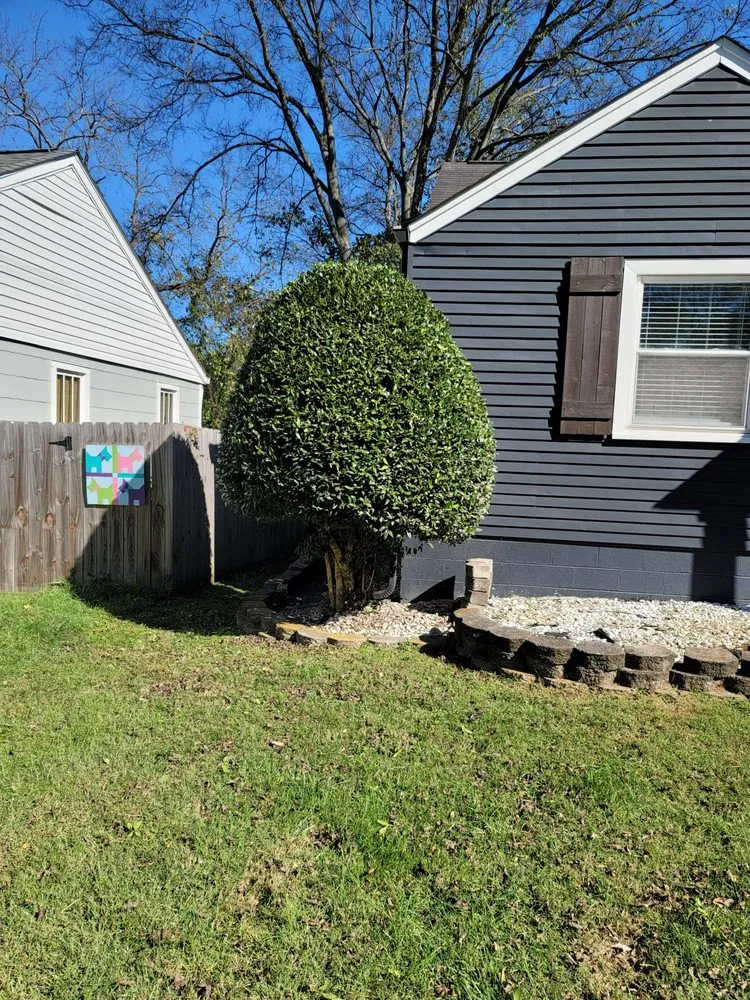 Custom landscaping services for outdoor upgrades across Nashville, TN - Carranza Landscaping And Tree Services