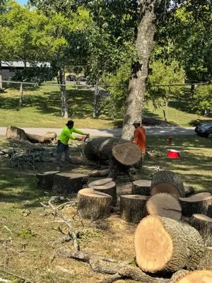 Carranza Landscaping And Tree Services Logo