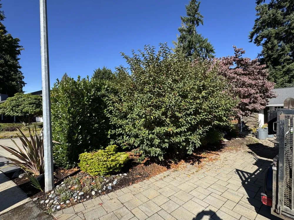 Custom lawn care service in Monroe, WA by Carranza