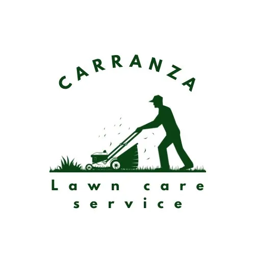 Professional yard cleanup service in Monroe, WA - Carranza