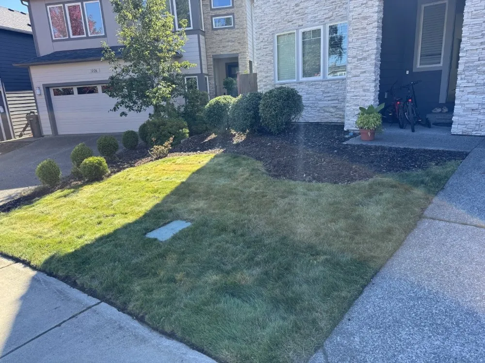 Trusted garden landscaping for outdoor upgrades in Monroe, WA by Carranza