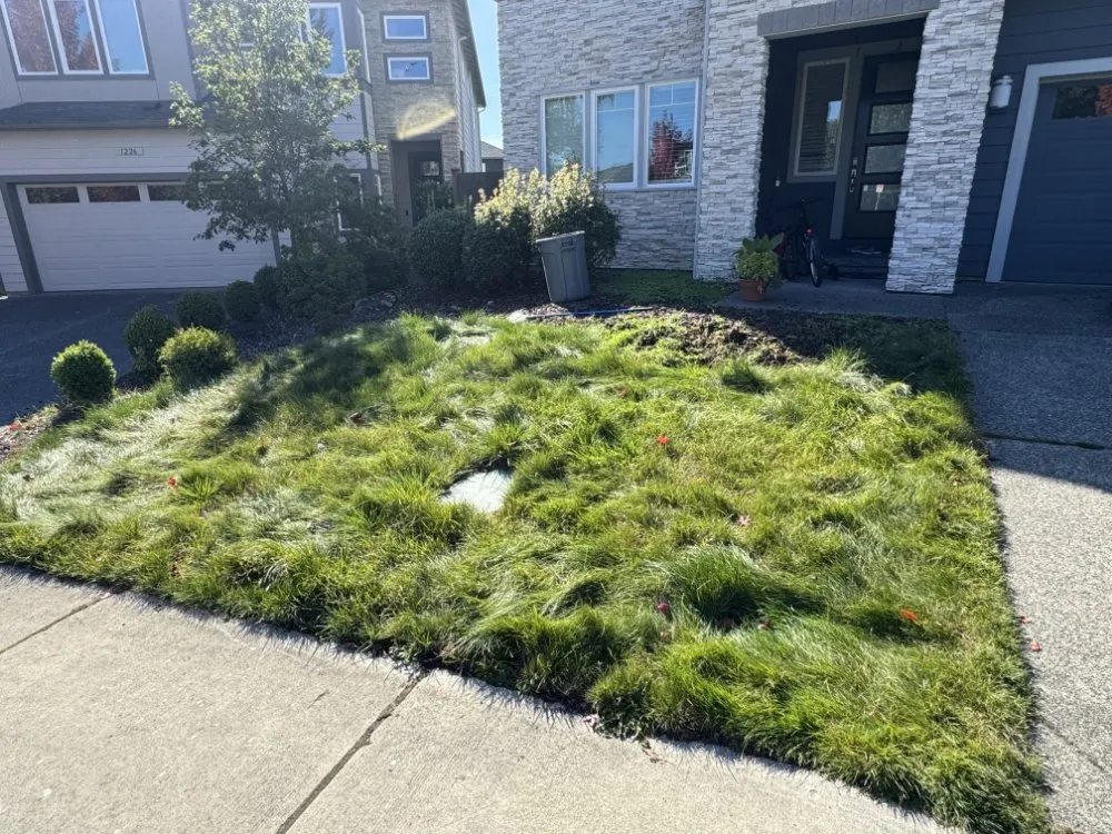 Reliable landscape design experts serving Monroe, WA - Carranza