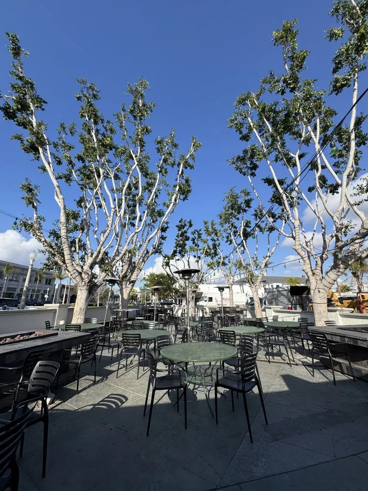 Trusted lawn care service with custom design across Vista, CA - Carranza Tree Service