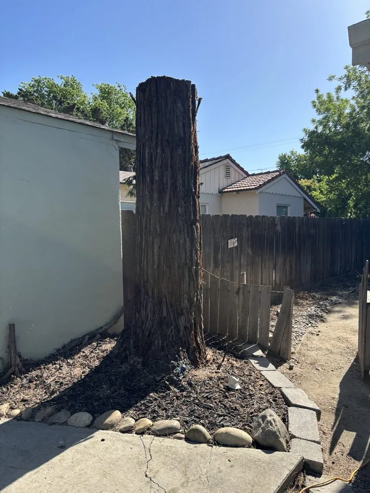 Local yard maintenance for residential properties in Vista, CA by Carranza Tree Service