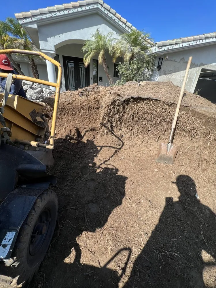 Top-rated lawn mowing service near you in Vista, CA by Carranza Tree Service