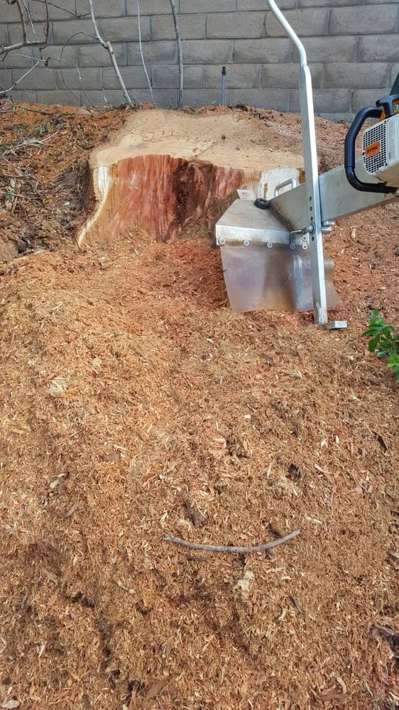 Top-rated landscape design for homes in Vista, CA by Carranza Tree Service