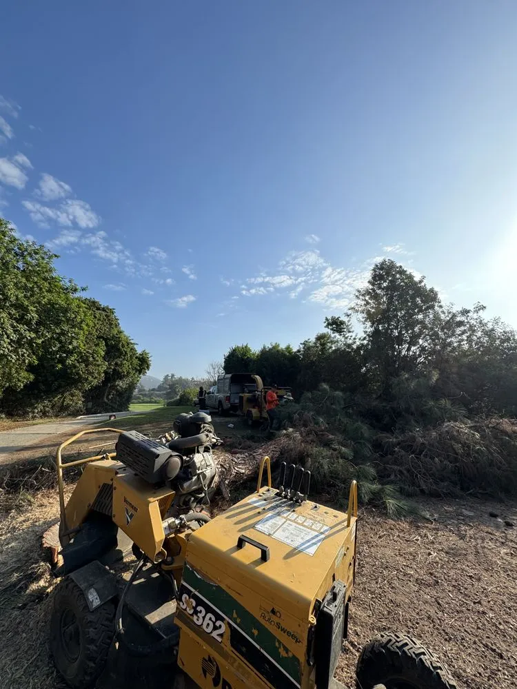 Expert landscape installation in Vista, CA - Carranza Tree Service
