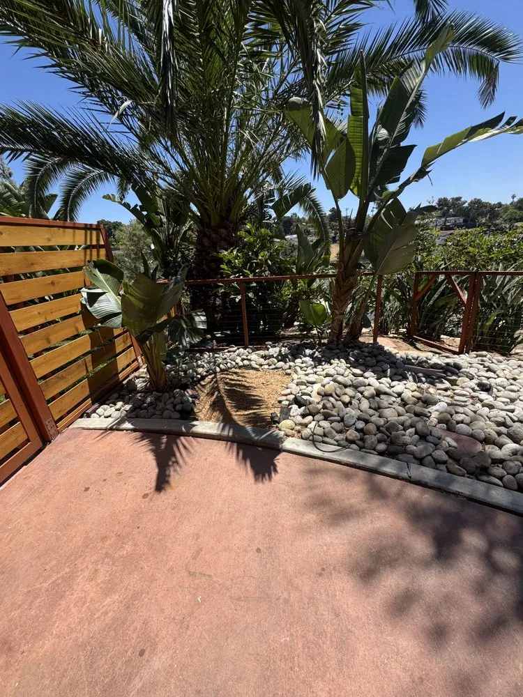 Trusted yard cleanup service near you in Vista, CA by Carranza Tree Service