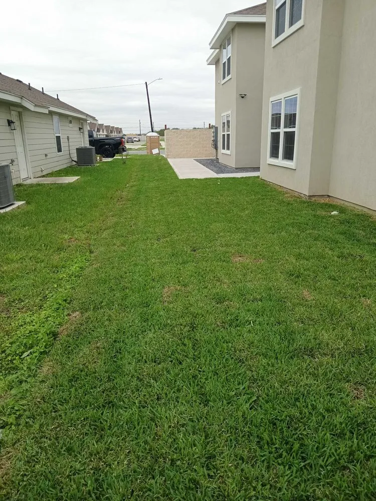 Top-rated landscape design experts serving Edinburg, TX - Carranza's Landscaping Services