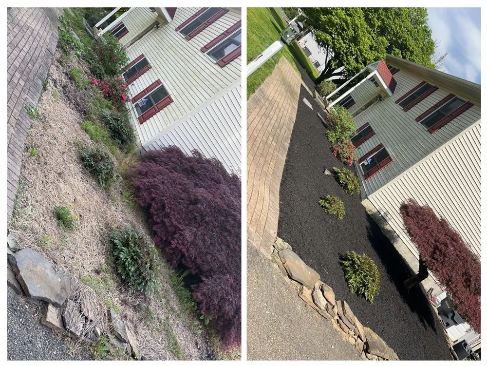 Expert yard maintenance experts serving Nottingham, PA - Carrasco Landscape Solutions